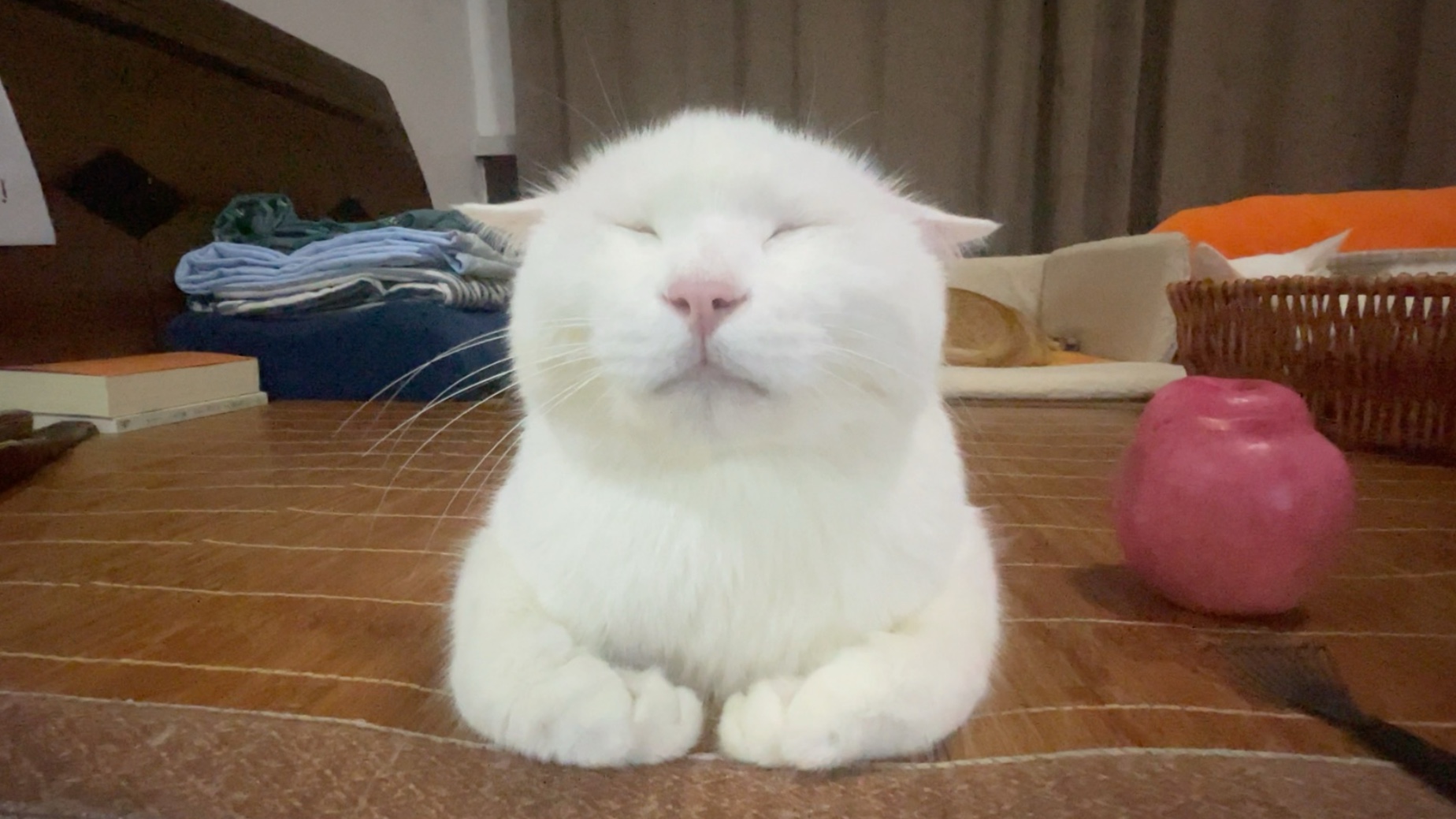 好吧，就给你亲一口！