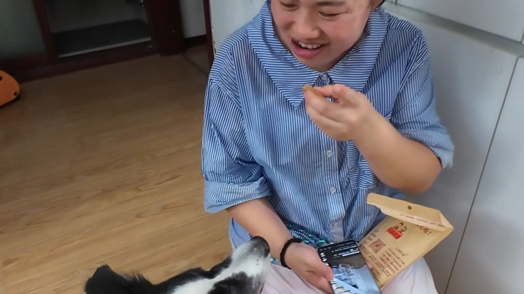白呀白是边牧