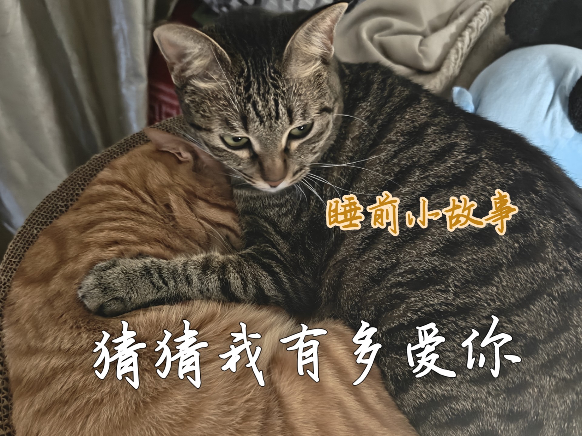 猜猜我有多爱你