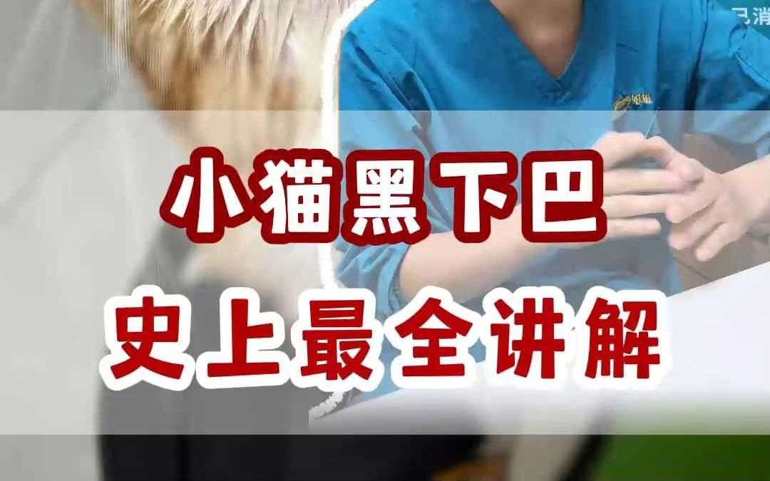 猫黑下巴怎么预防怎么治