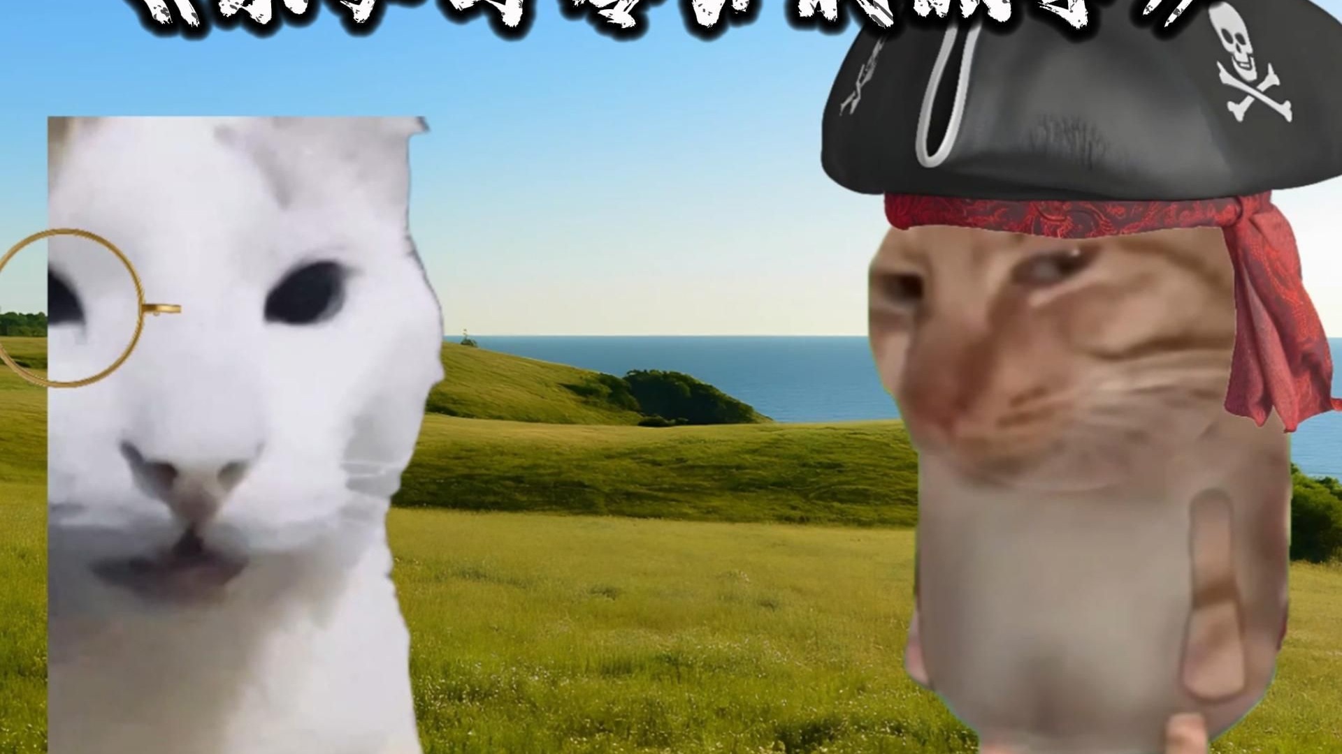 【联动】果汁猫×江橘猫：《未必与零分的故事》