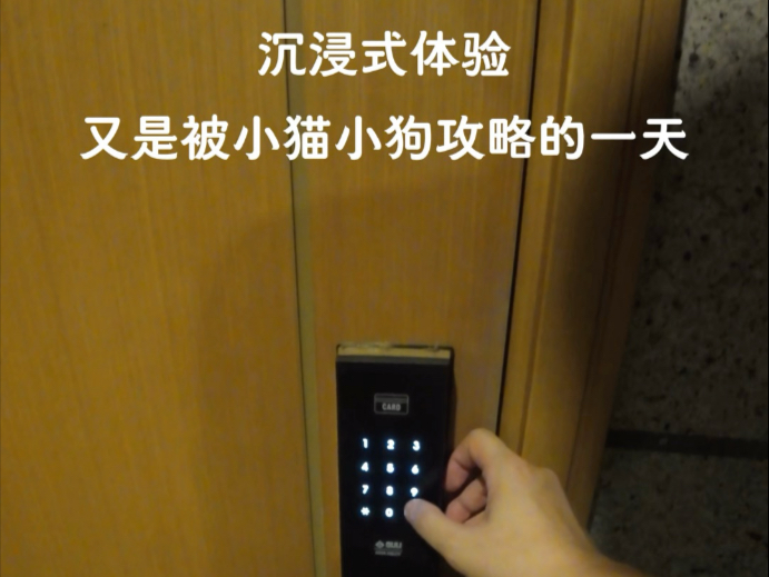 啊..原来小猫小狗就是这么驯服人类的