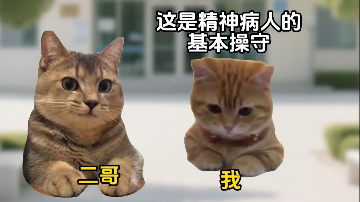 从疯人院结业后我变乖了1~8集