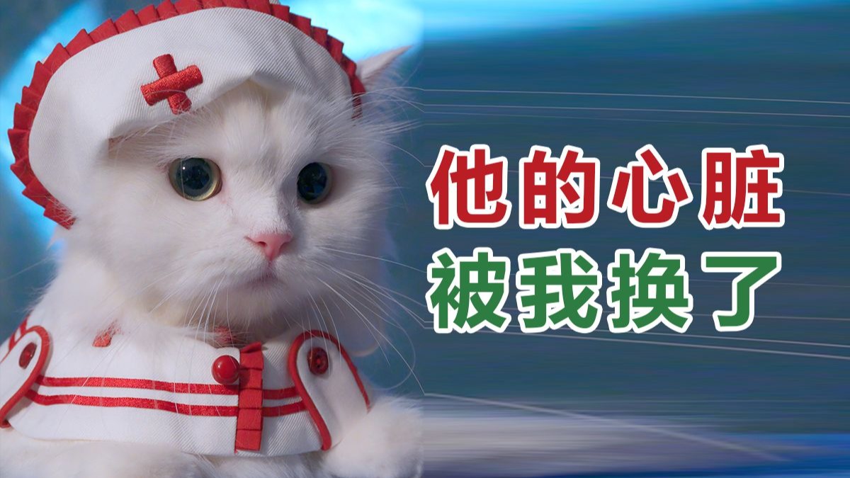 我开了家玩具医院，接诊的病人竟然是Labubu…