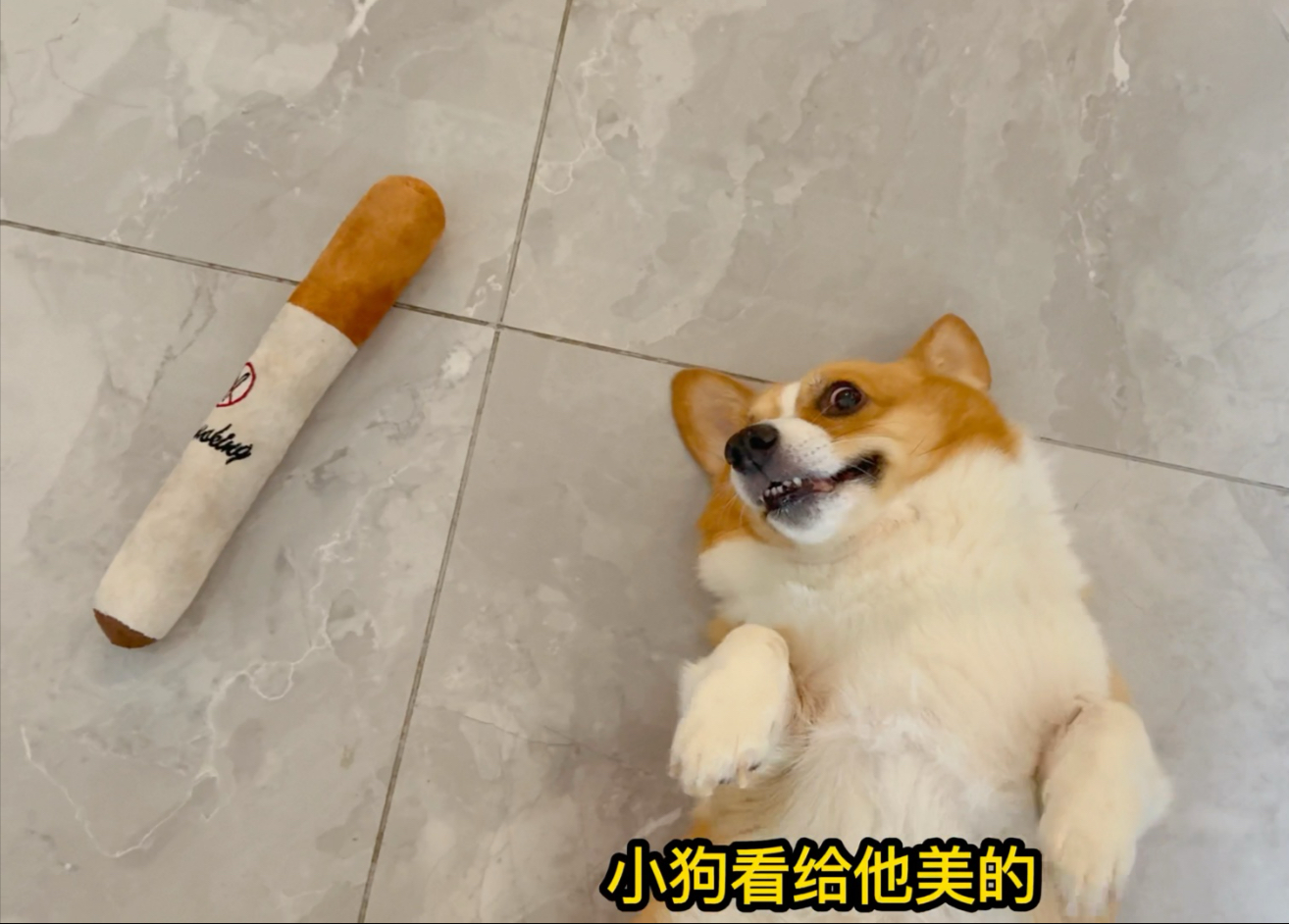 【七月与摩卡】戒 了 烟 我 不 习 惯