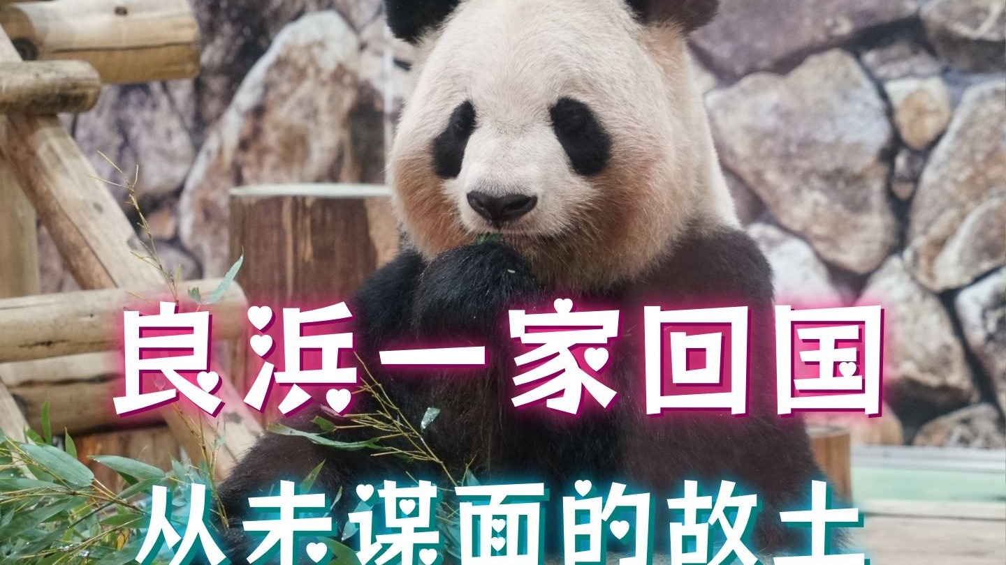 肉肉：外婆小姨就要回家啦！