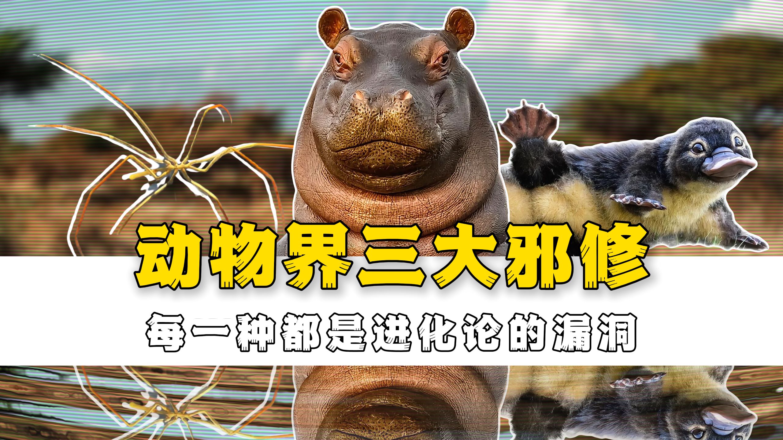 动物界三大邪修，这进化也太邪门了！