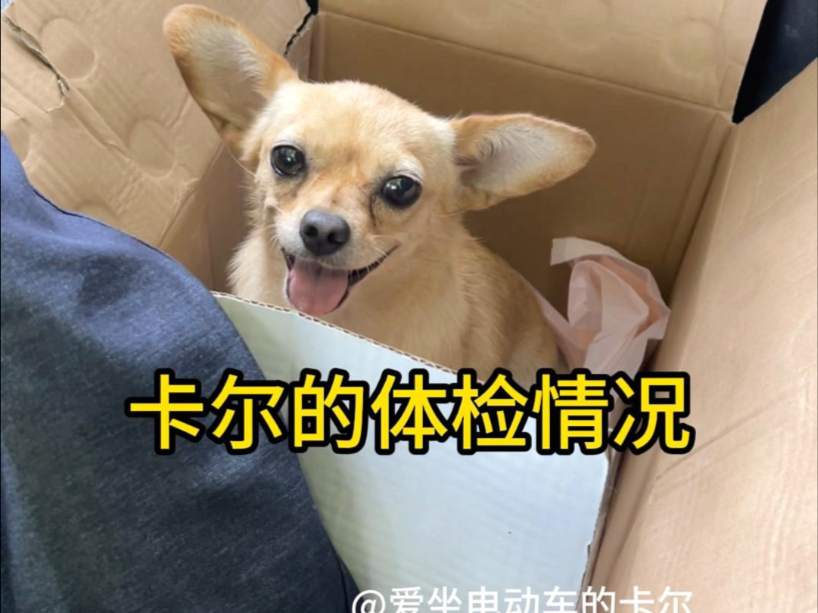 卡尔的体检情况