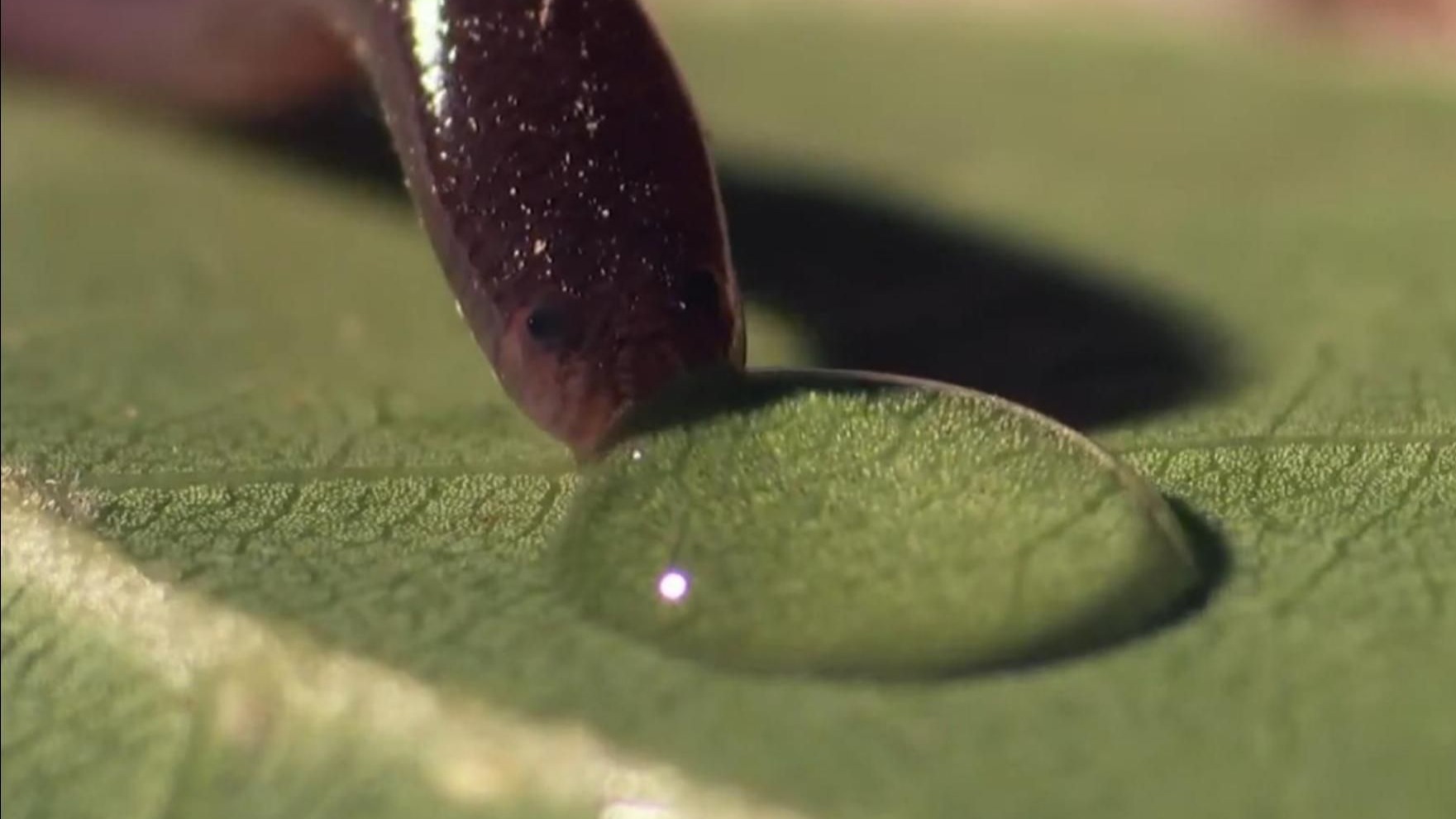 《我 干 了，你 随 意》