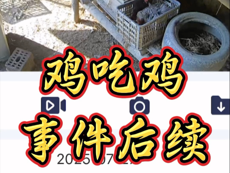 吃鸡事件咸鱼鸡全部落网等待大家的制裁