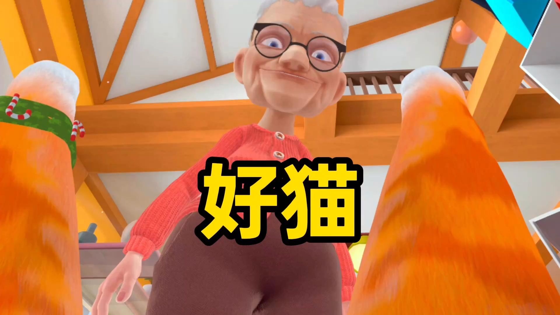 我是为奶奶分担家务的好猫！