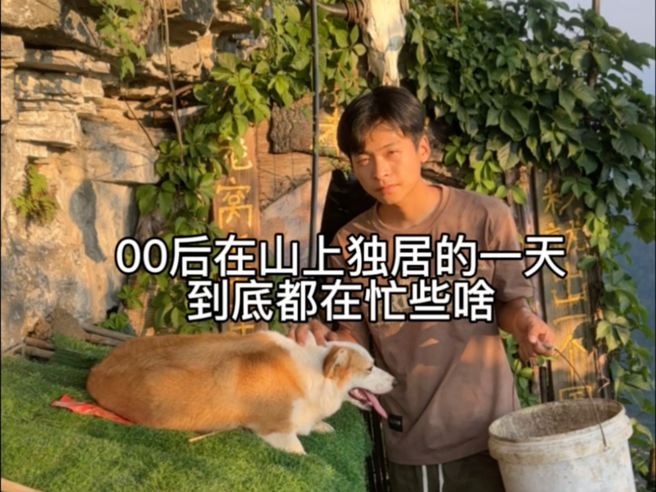 粉丝说他家有只柯基送给我来养，所以我修了一个狗窝