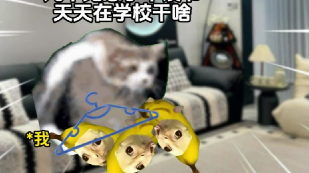 来自亲姐的血脉压制