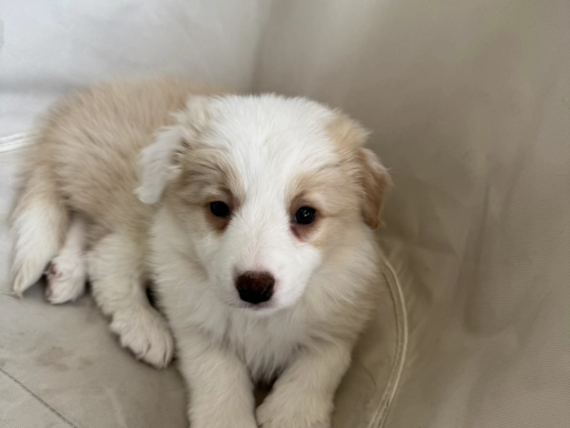 豆蔻的成长记录