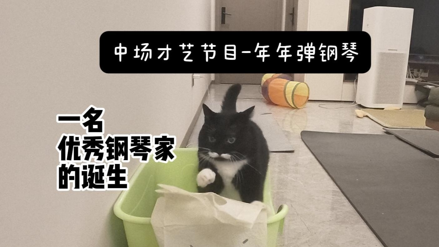 vlog优秀钢琴家的诞生