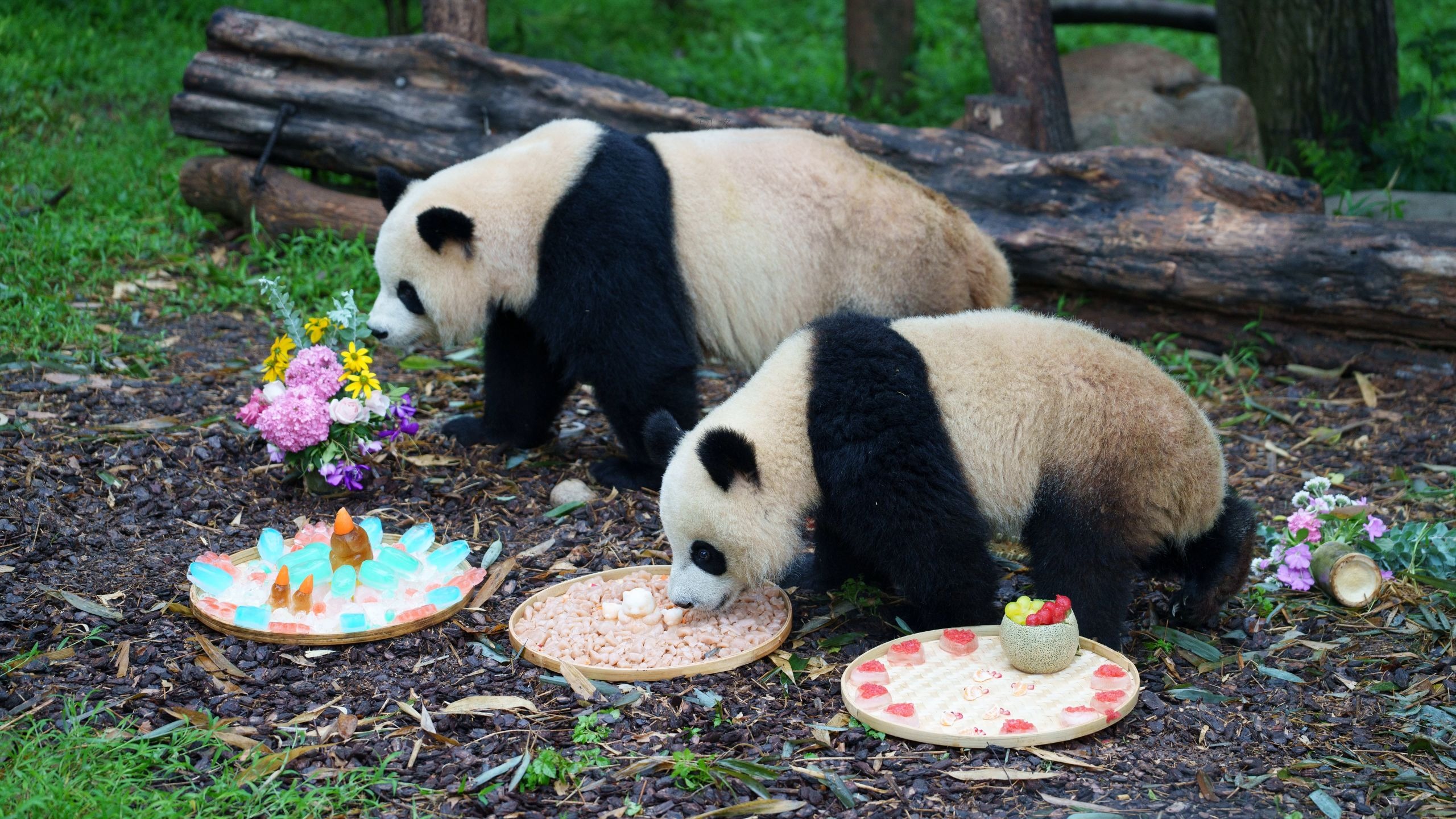 存图预警  33张图就1.5个g了  8月25润润生日快乐