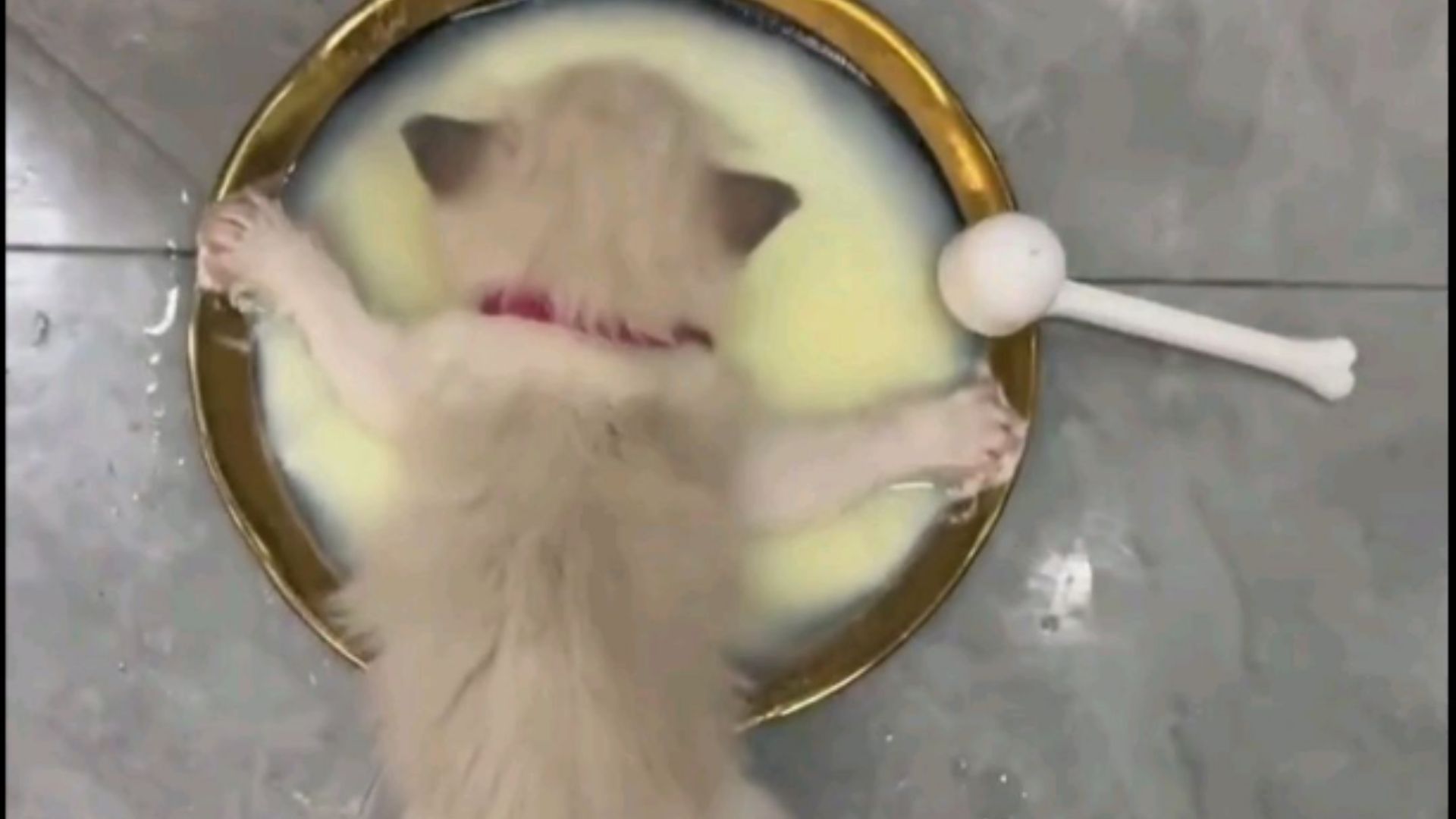 多了不说 少了不唠