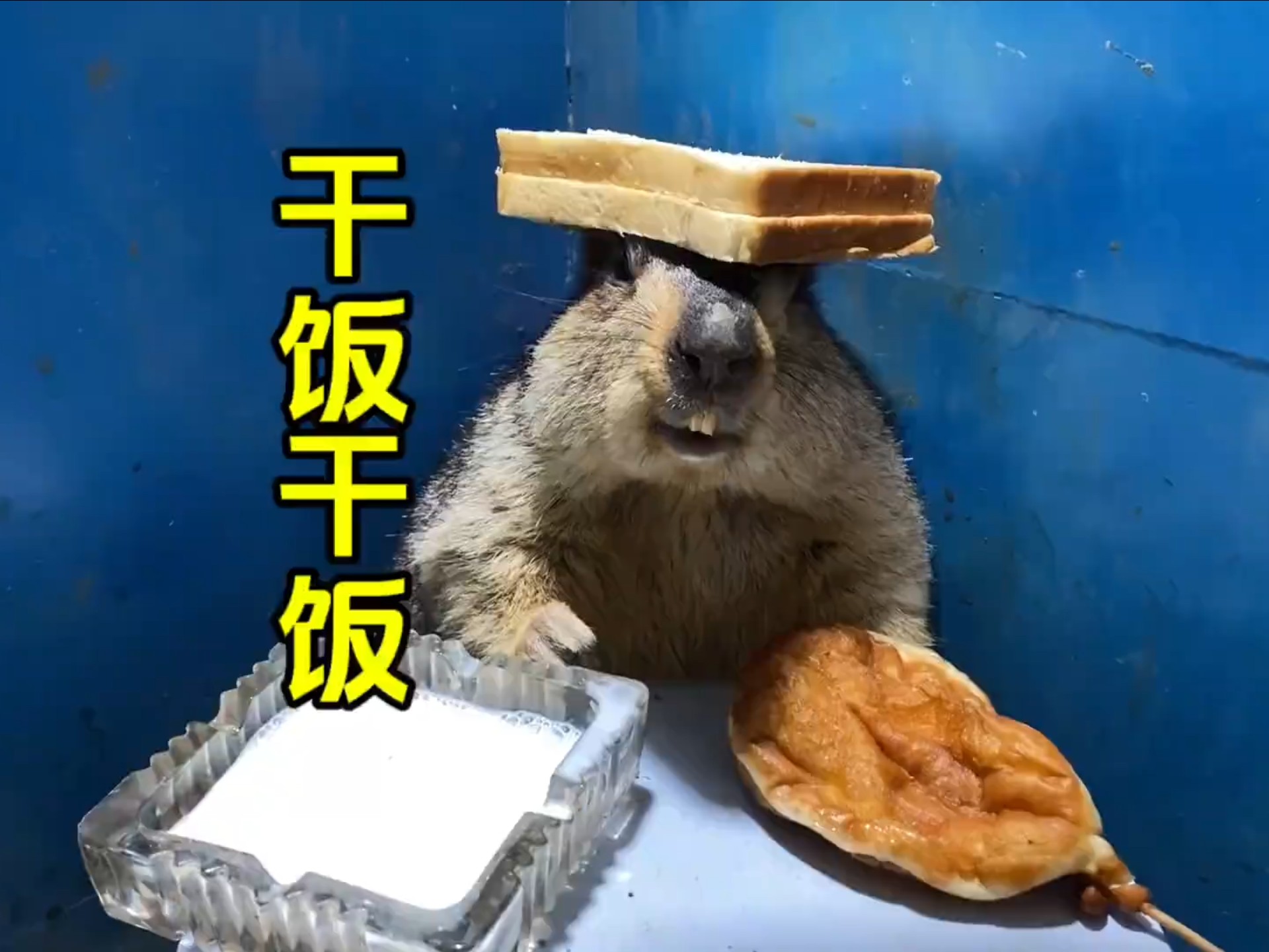哇。。。太不错了