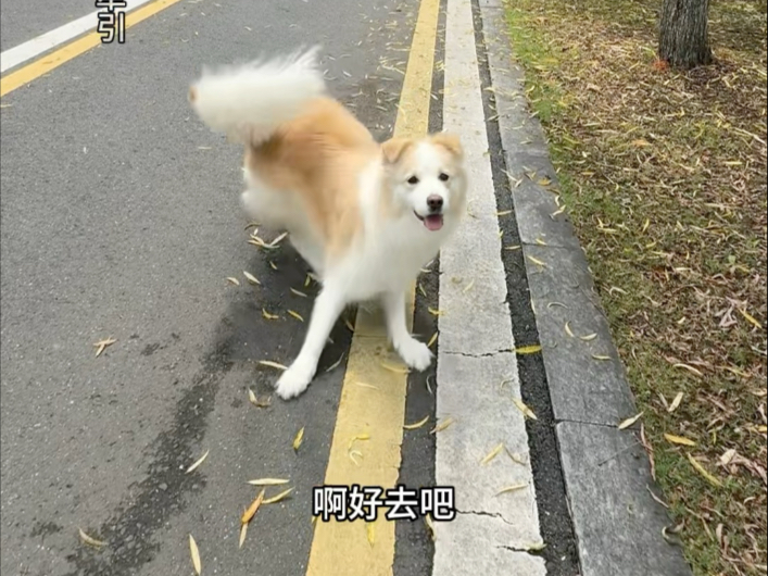 抓住台风过后的一丝清凉