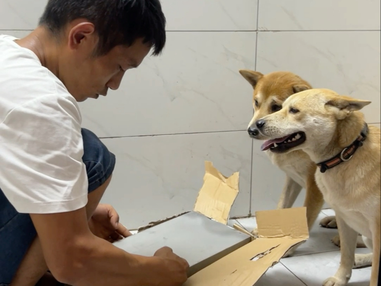 新饭盆来了