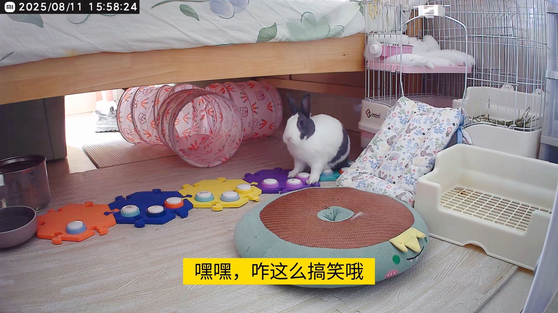 吃饭妈妈，妈妈吃饭！