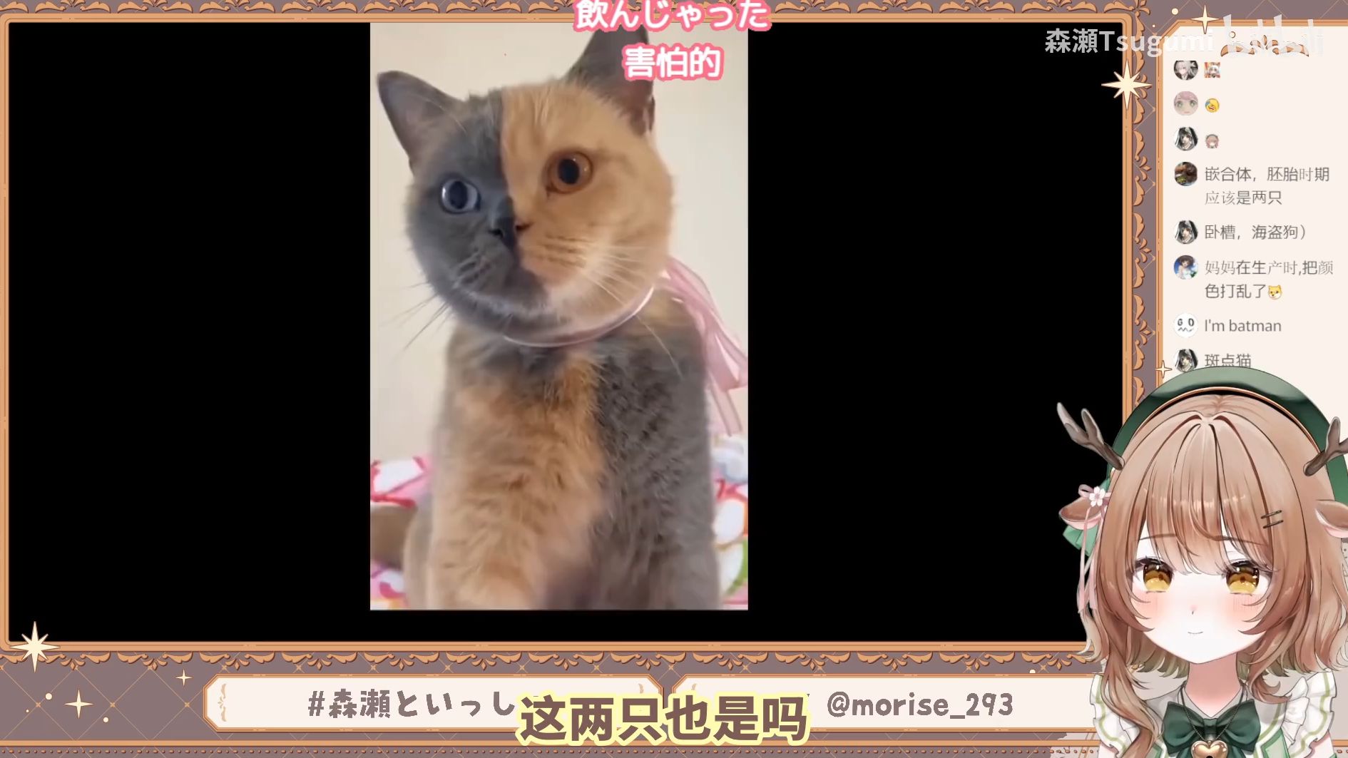 日本小鹿看《拼好狗，拼好猫》