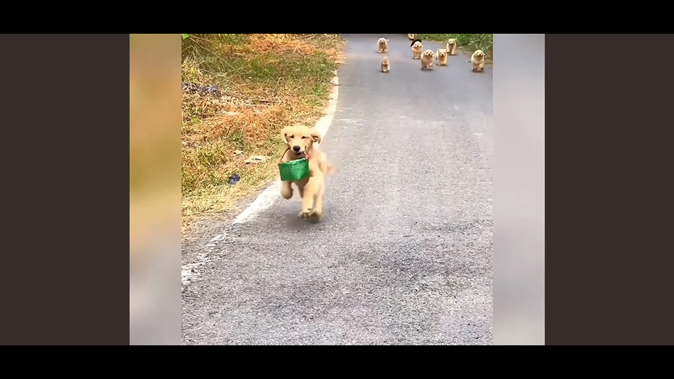 开饭！！！！！！！