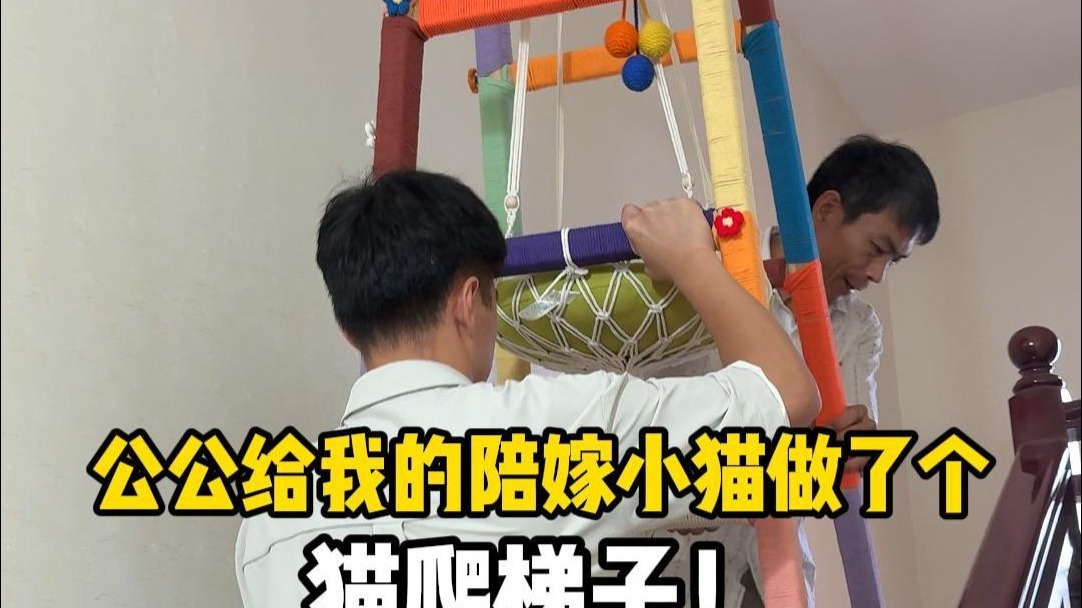 公公给我的陪嫁小猫们做了个猫爬梯子