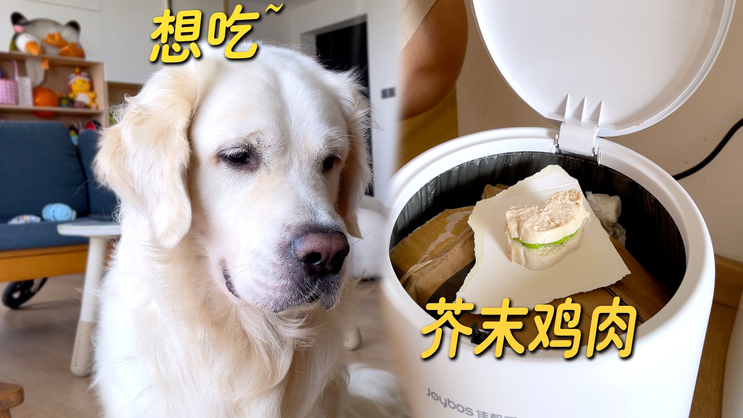 在垃圾桶放上芥末鸡肉，狗狗会偷吃吗？