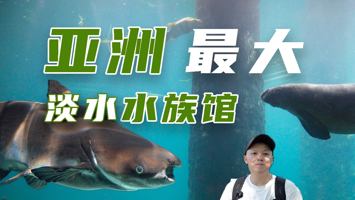 探访亚洲最大淡水水族馆！新加坡河川生态园！