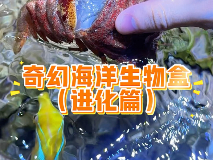 震惊了！