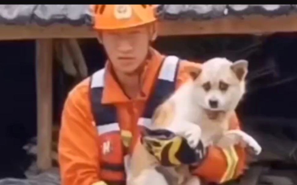 《洪水无情，人有情》