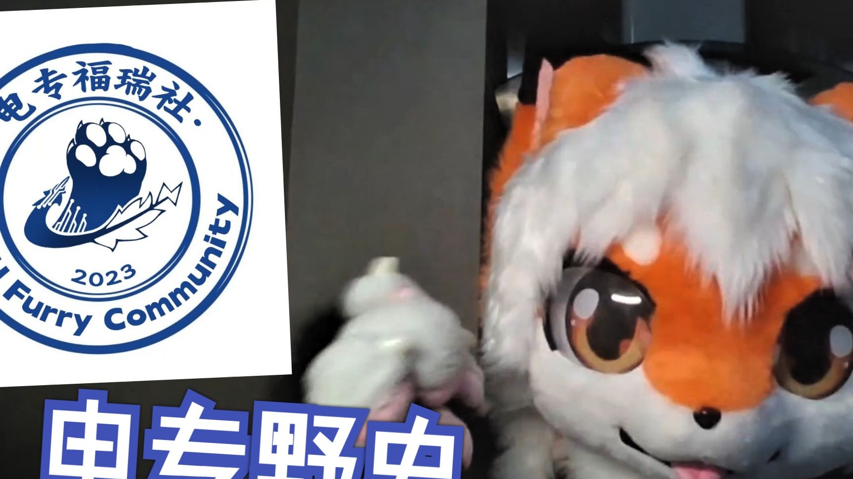 电专野史