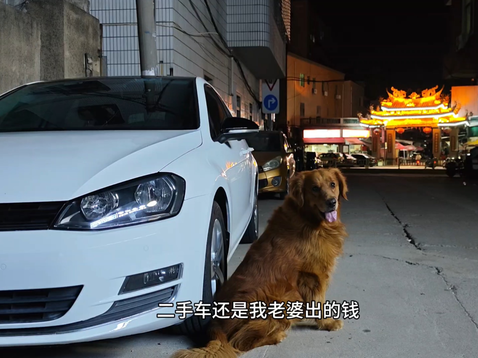 大金毛顺利荣登店铺老板，请大家叫他:果老板！