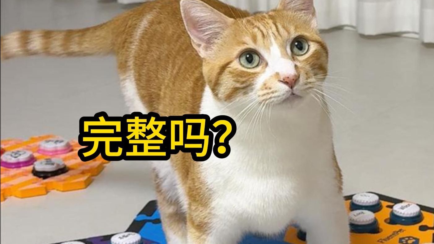 总觉得哪里怪怪的？