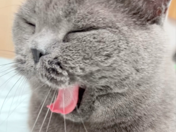 我妈说一秒都不需要剪辑！