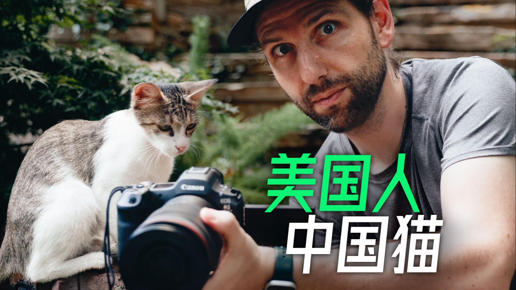 你们为啥这么爱猫？老外摄影师中国沉浸式拍猫啦