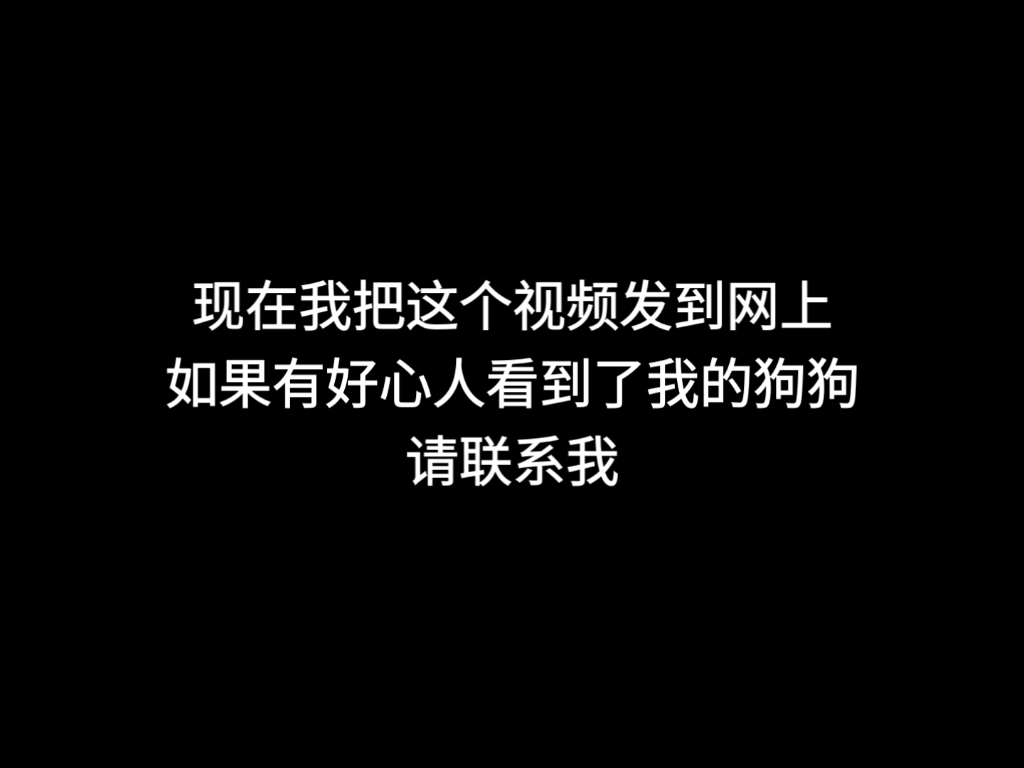把我的狗还给我！
