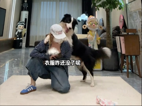 人家说我们就知道傻跳！