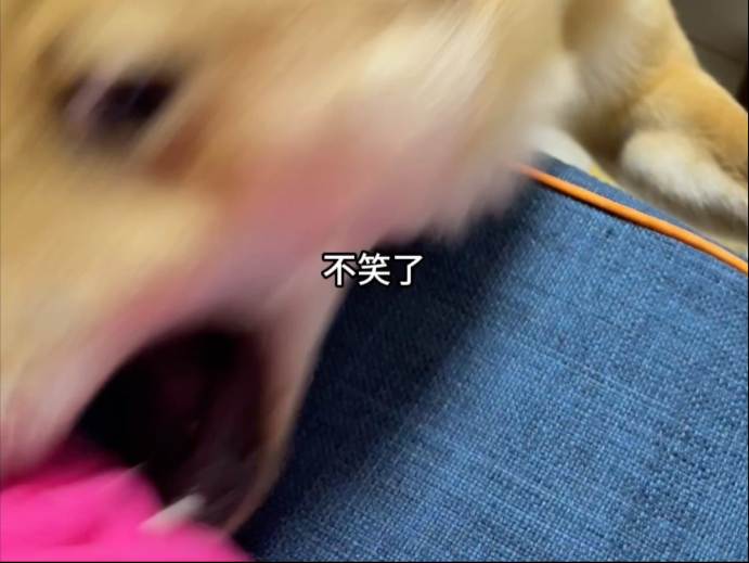 习惯失恋