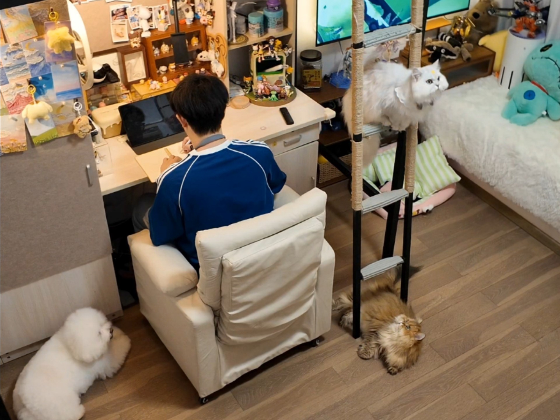 加班后回到家和小猫小狗一起饮靓汤 班味快走开！