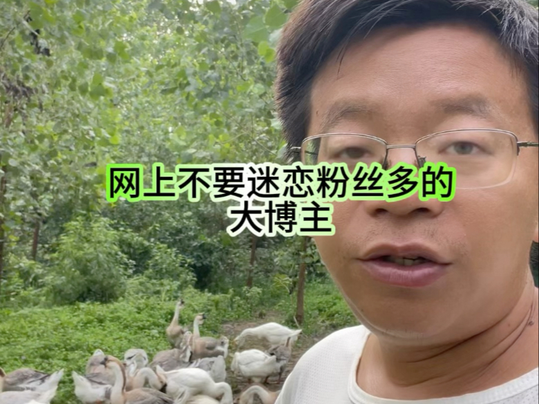 大家不要太过分相信粉丝多的商家#农村创业养殖 #特大狮头鹅
