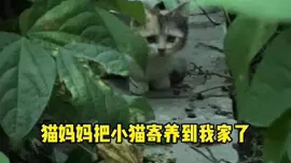 我家成托儿所了？