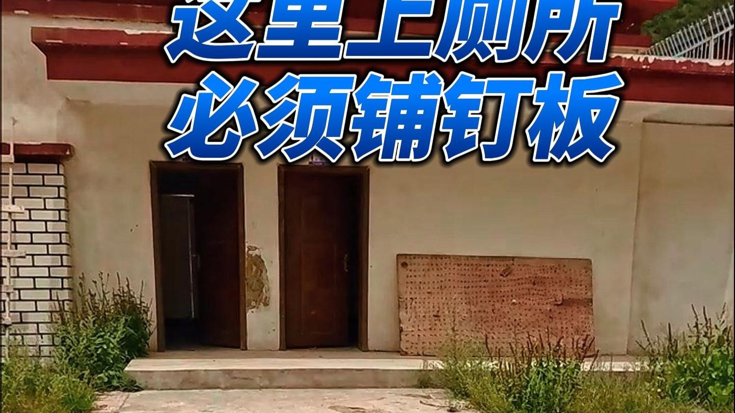 这里上厕所有生命危险必须铺钉板，探访羊秀乡藏马熊泛滥情况。