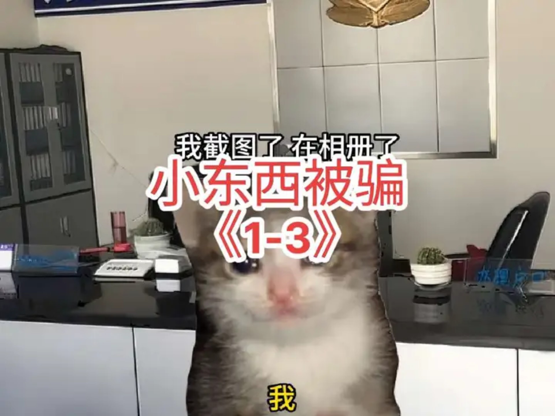 《我被电诈后和室友去报案》1-3集