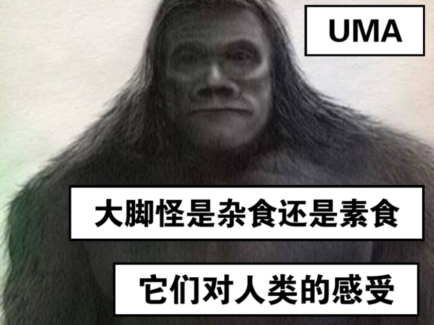大脚怪它们吃素还是吃肉？以及对人类的感受【UMA大脚野人】