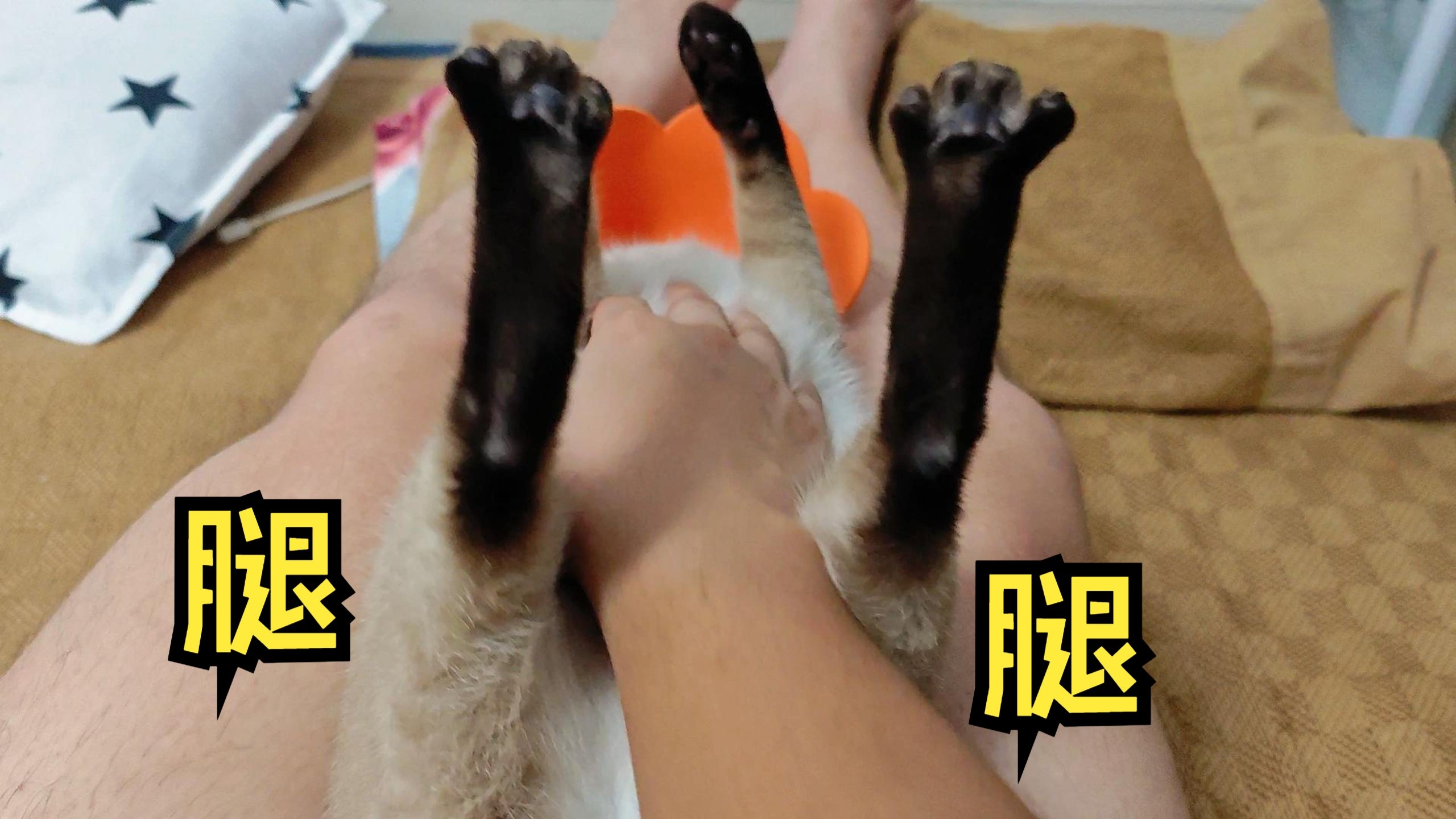 频率增加，脚丫开花