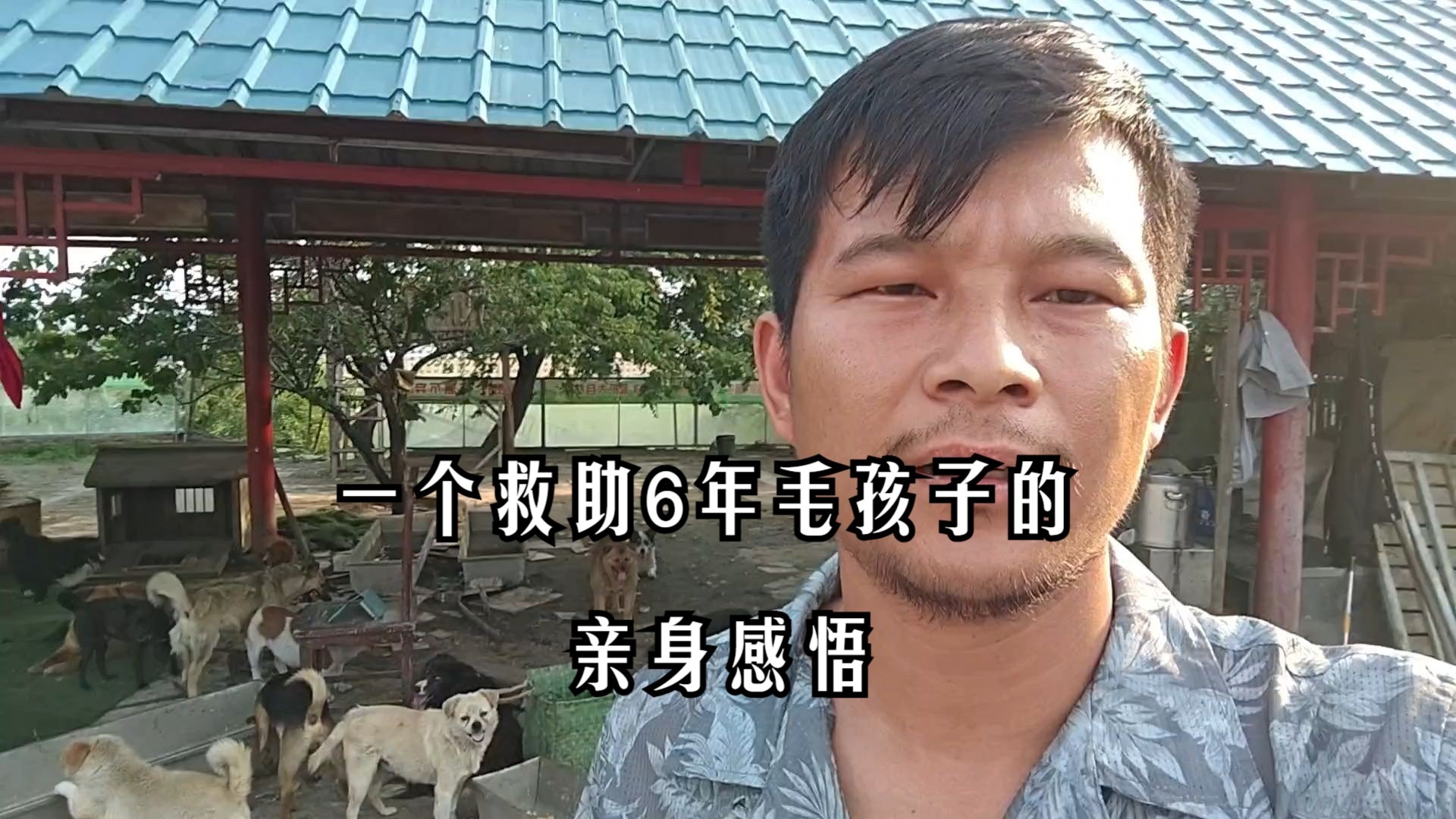 一个救助6年毛孩子的亲身感悟