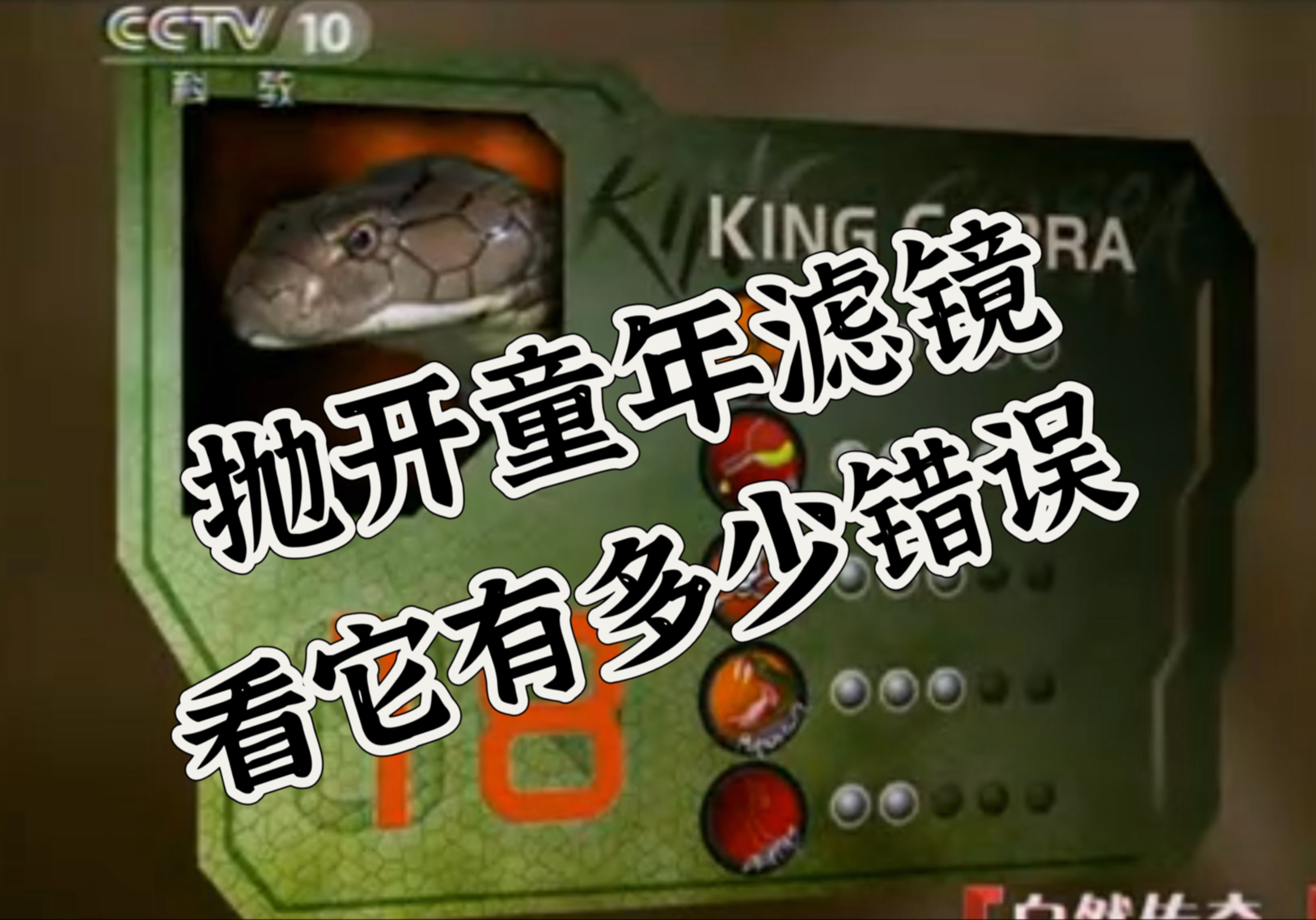 童年在自然传奇播出的蛇类纪录片打分竟然有很多不合理的地方