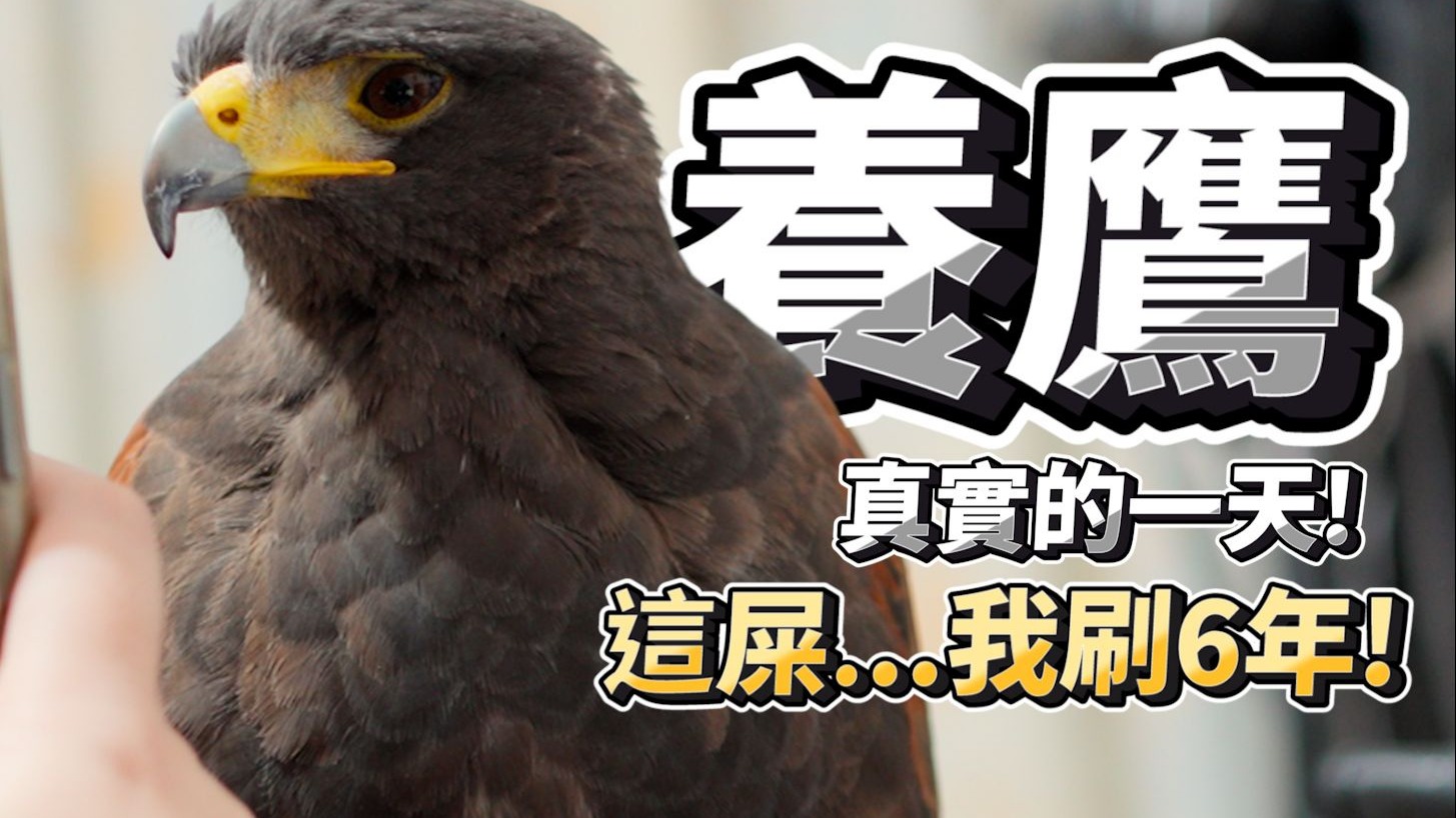 跟你想的不一樣，每天掃屎剪片！猛禽飼主的一天~波波六歲生日快